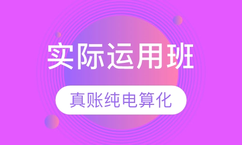 真帐纯电算化实际运用班