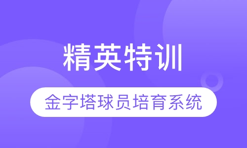 精英金字塔球员培育系统