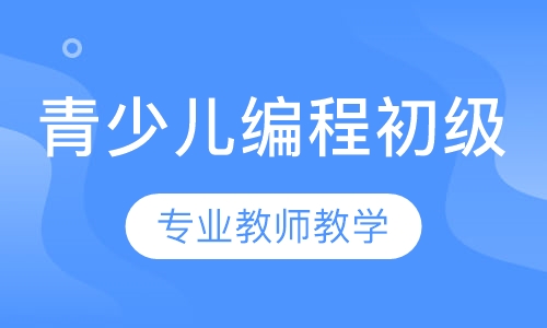 天才密码青少儿编程初级