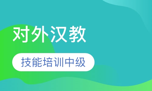对外汉语教师教学技能培训中级