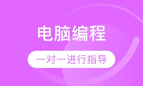 电脑编程 (CS)