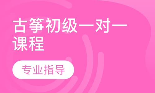 古筝初级一对一课程