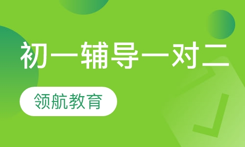 初一辅导一对二
