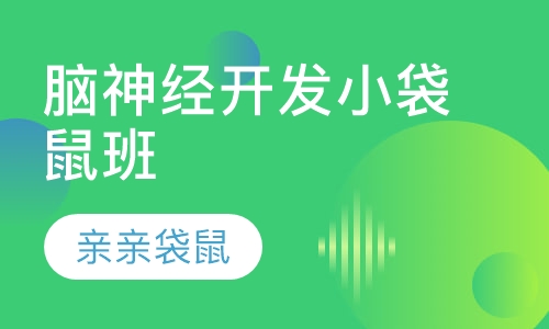 脑神经开发小袋鼠班