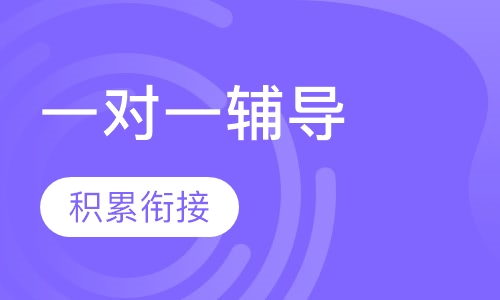 一对一辅导