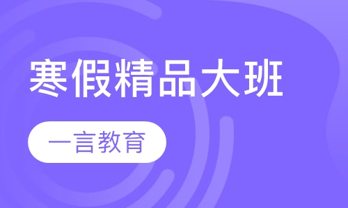 寒假辅导精品大班