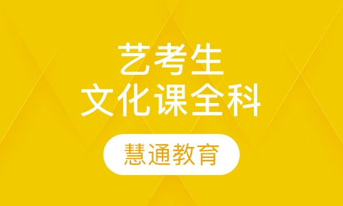 艺考生文化课全科辅导