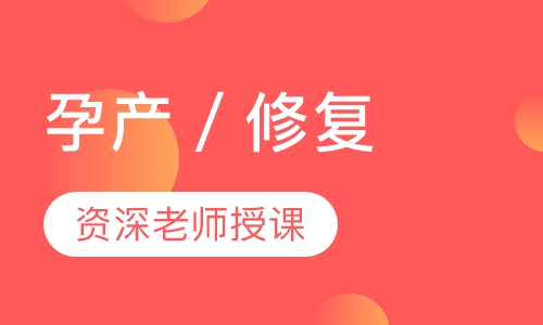 孕产／修复