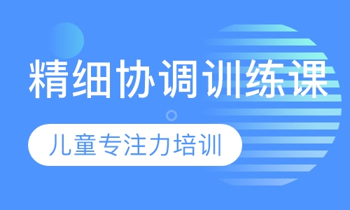 精细协调训练课