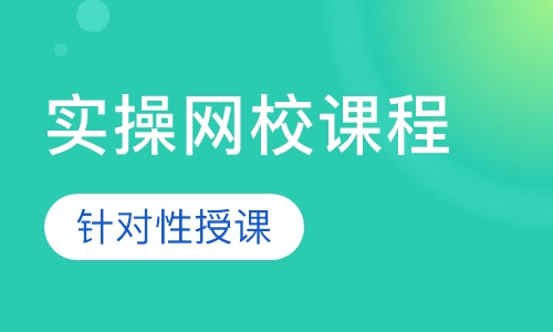 实操网校课程金领级