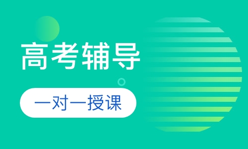高考一对一辅导