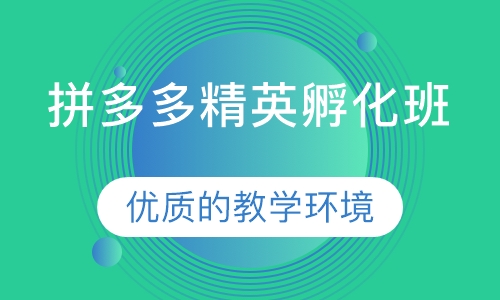 拼多多精英孵化班