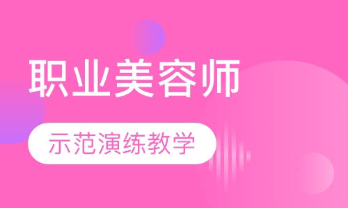职业师课程