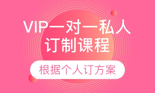 VIP一对一私人订制