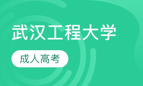 成人高考-武汉工程大学
