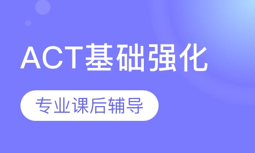 ACT基础强化1对2人班
