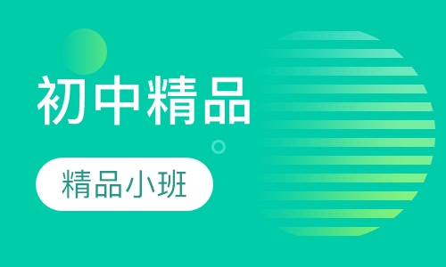 初中精品小班