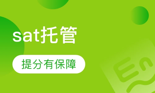 sat全程托管