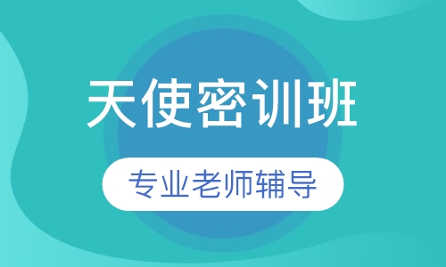 护士资格天使密训班面授