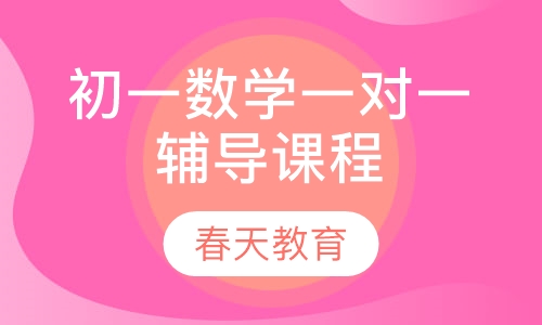 初一数学一对一辅导课程