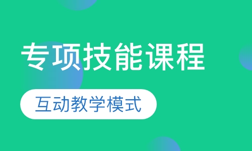 SK专项技能课程