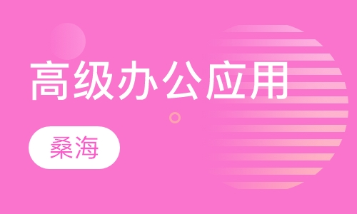 高级办公应用（专升本）