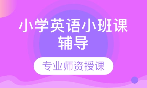 小学英语小班课辅导