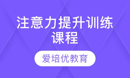注意力提升训练课程
