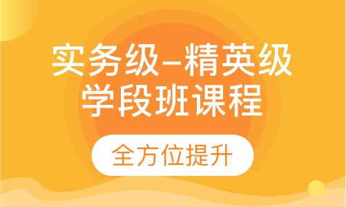 实务级-精英级学段班课程