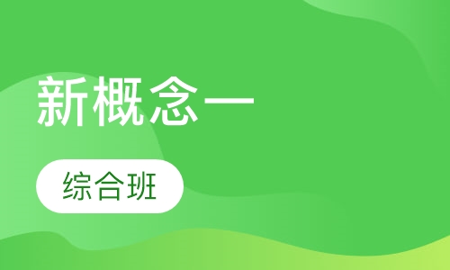 新概念一综合