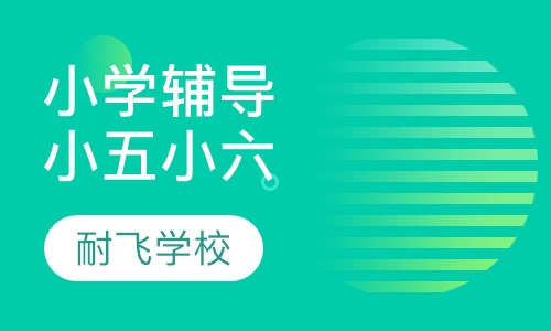 小学辅导-小五小六