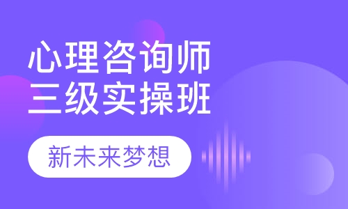 心理咨询师三级高端专项实操