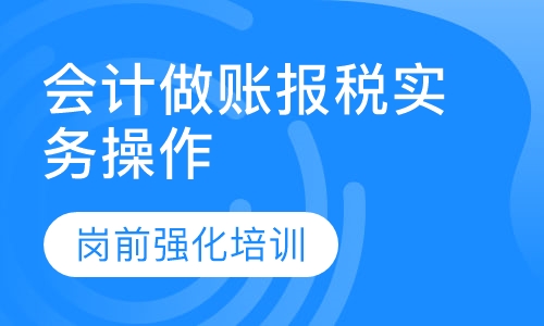 会计做账报税实务操作
