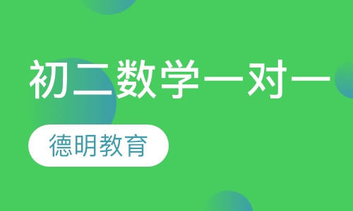 初二数学一对一班