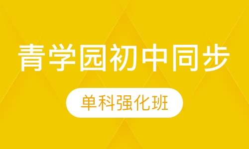 （青学园初中同步）单科强化班
