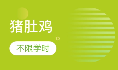 猪肚鸡