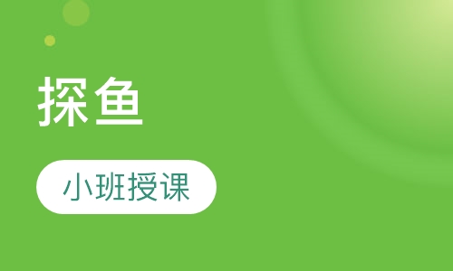 探鱼