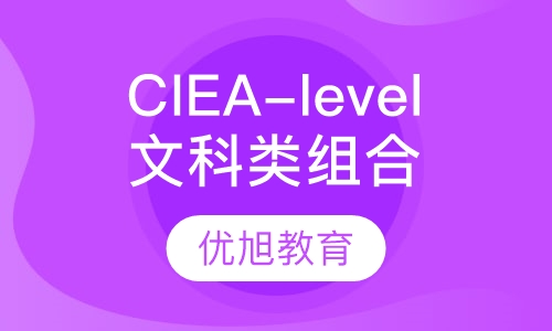 CIE A-level 脱产全封闭一对一文科类组合2