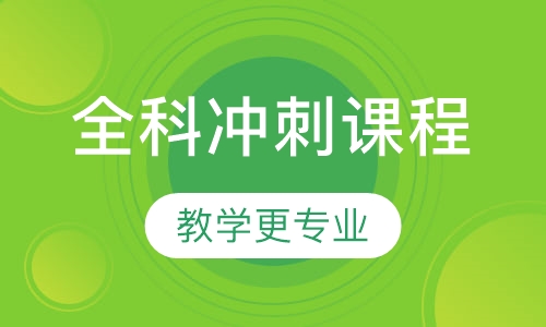 1对1全科高考冲刺课程