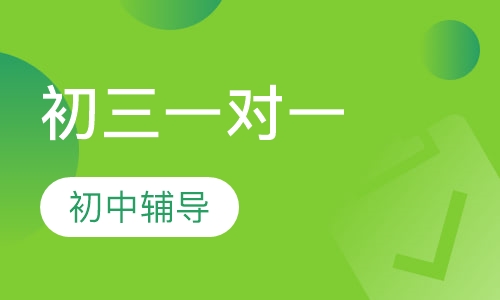 初三一对一