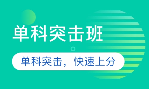 艺考文化课单科突击班