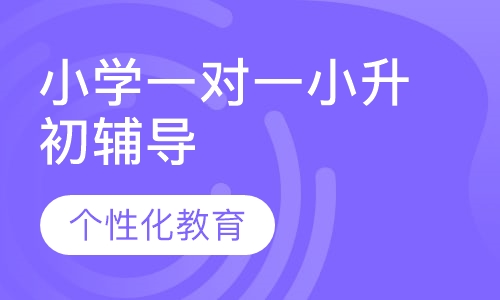 小学一对一小升初辅导