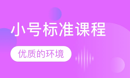 小号标准课程