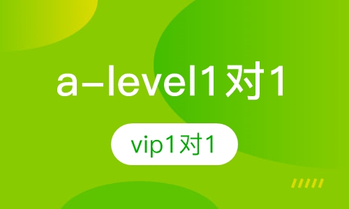 a-level vip1对1 尊享班