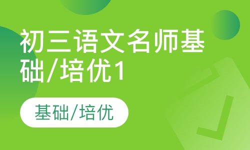 初三语文名师基础/培优10讲