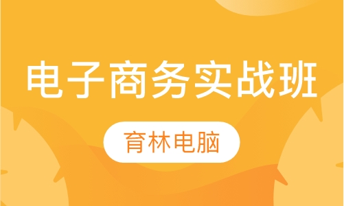 电子商务实战班
