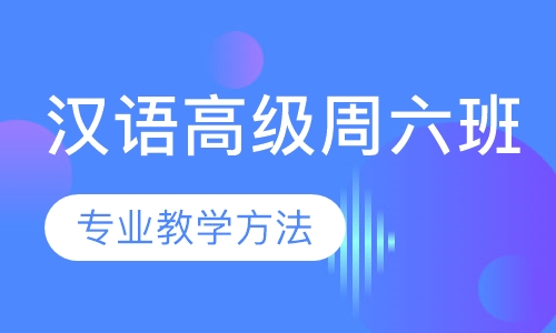 国际汉语高级讲师级认证（周六班）