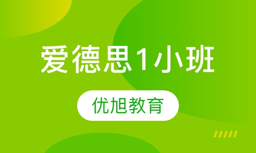 爱德思 A-level Statistics 1小班