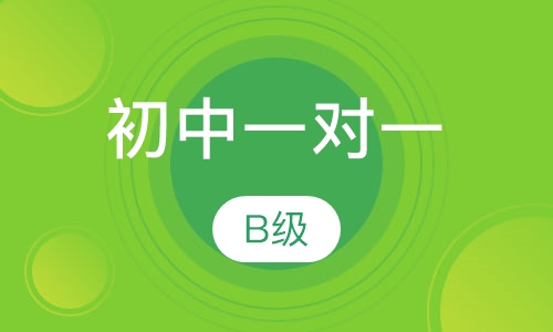 初中一对一B级