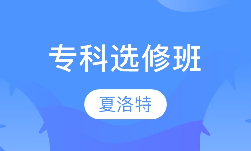 专科选修班